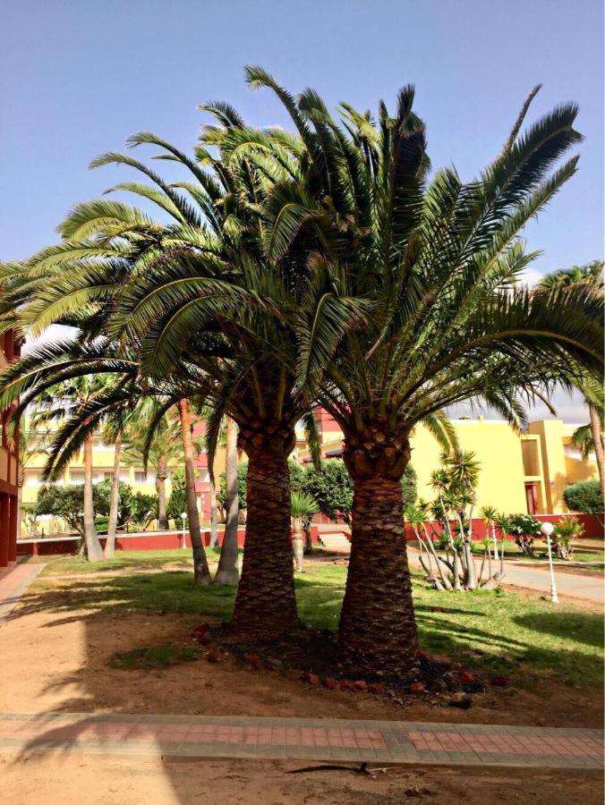 Ferienwohnung Pax Et Bonum Parque Holandes Exterior foto